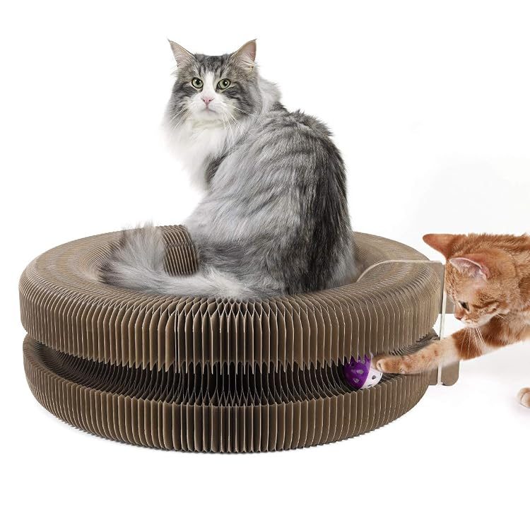 Cardboard Cat Scratcher Lounge