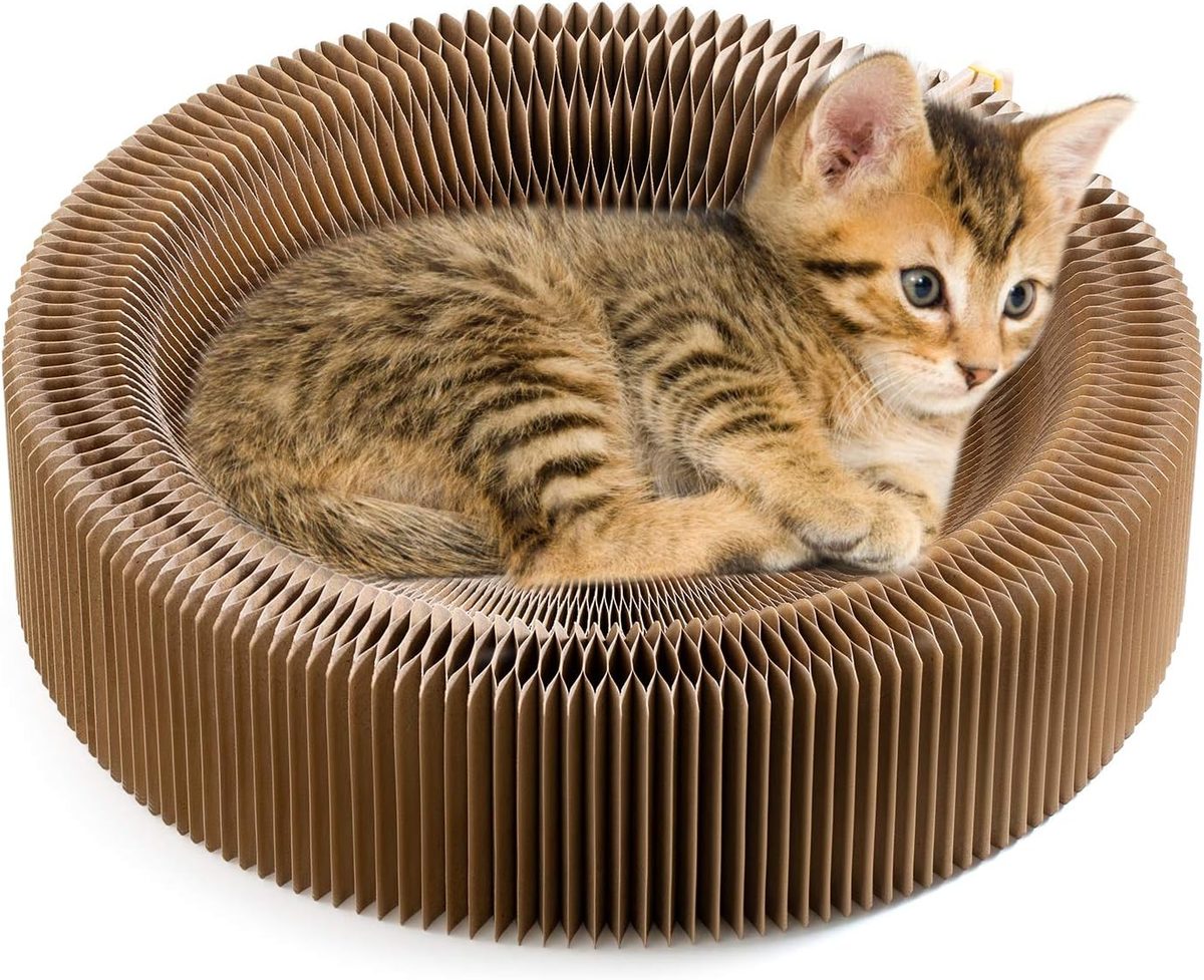 Cardboard Cat Scratcher Lounge