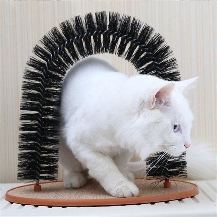 Self-Grooming Cat Wash Station & Arch Brush