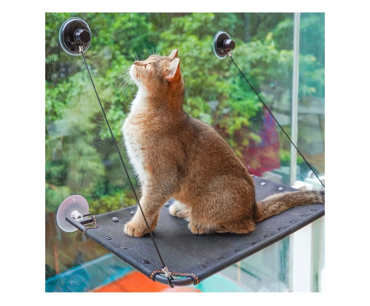 Cat Window Hammock Perch (Suction-Cup)