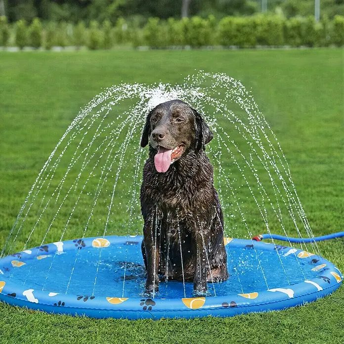 Dog Splash Pad Sprinkler Mat