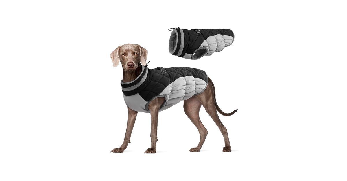 Fleece Winter Coat for Dogs