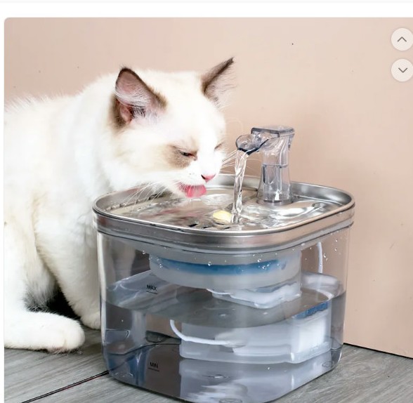 Automatic Pet Water Fountain 2L Stainless Steel