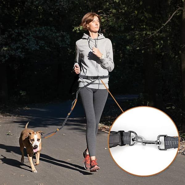 Hands-Free Bungee Waist Leash