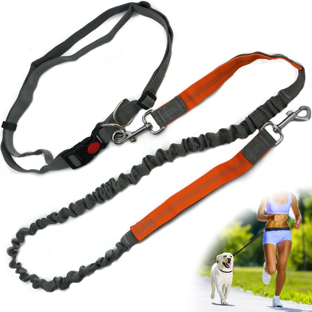Hands-Free Bungee Waist Leash