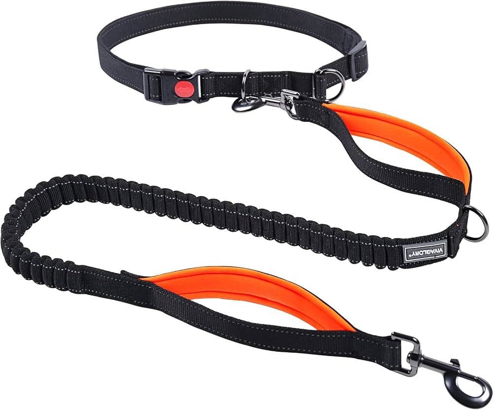 Hands-Free Bungee Waist Leash