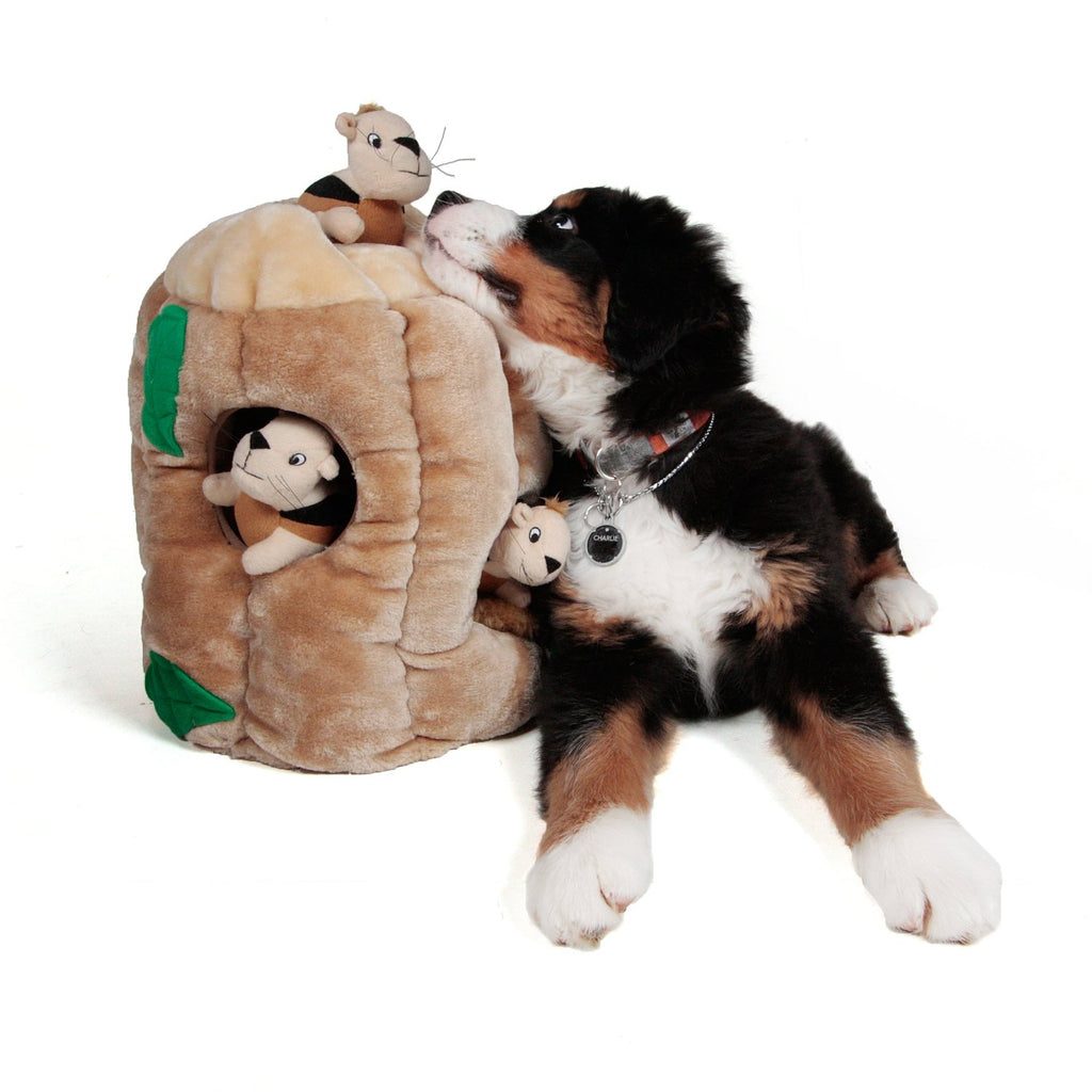 Hide-and-Seek Burrow Plush (Squirrel)