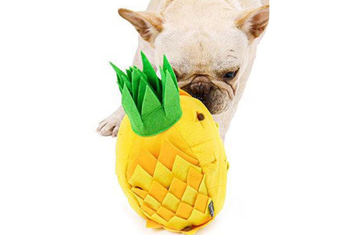 Pineapple 2-in-1 Squeaky Plush Dog Toy