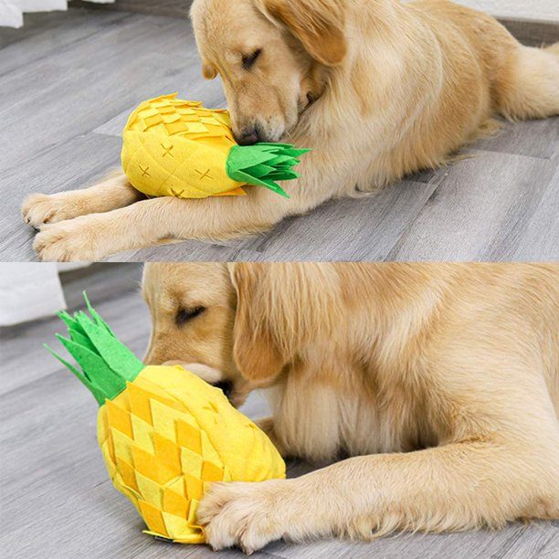 Pineapple 2-in-1 Squeaky Plush Dog Toy