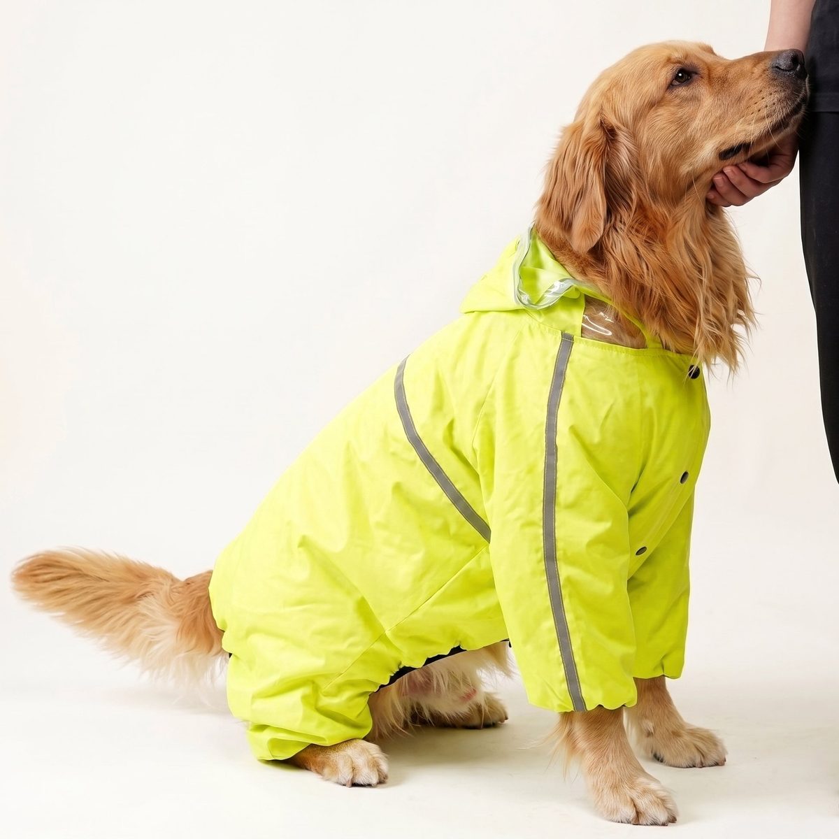 Full-Coverage Waterproof Dog Raincoat